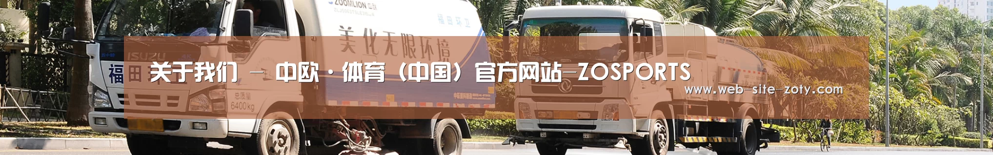 成功案例