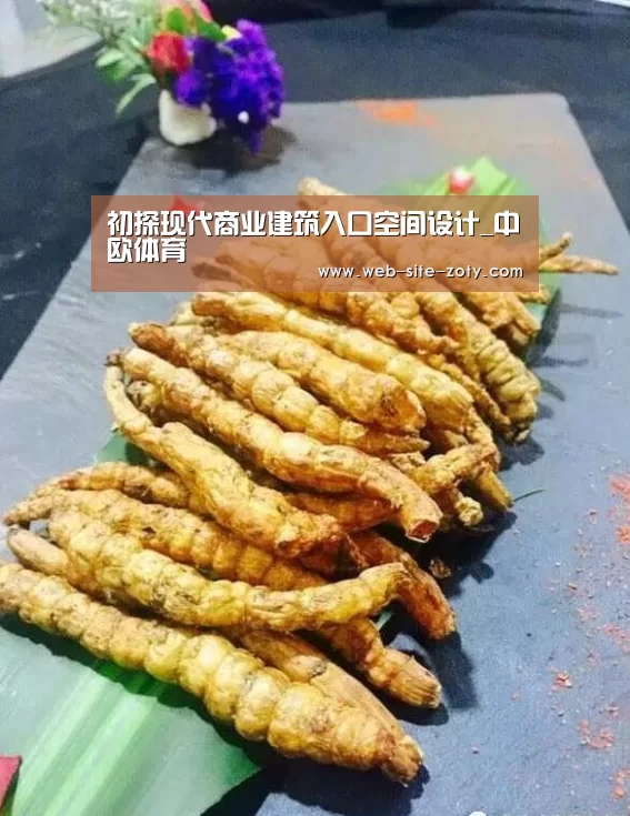 初探现代商业建筑入口空间设计_中欧体育(图2) zoty体育