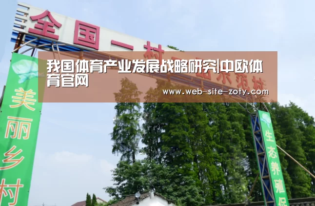 我国体育产业发展战略研究|中欧体育官网(图1) 中欧体育平台