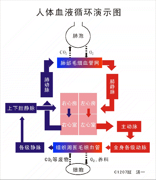 中欧体育官网:SHoP建筑事务所透露了新布鲁克林塔设计方案(图2) 中欧体育