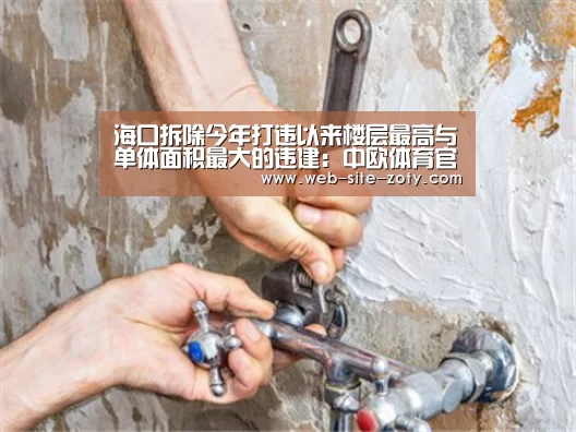 海口拆除今年打违以来楼层最高与单体面积最大的违建:中欧体育官网(图3) 中欧体育
