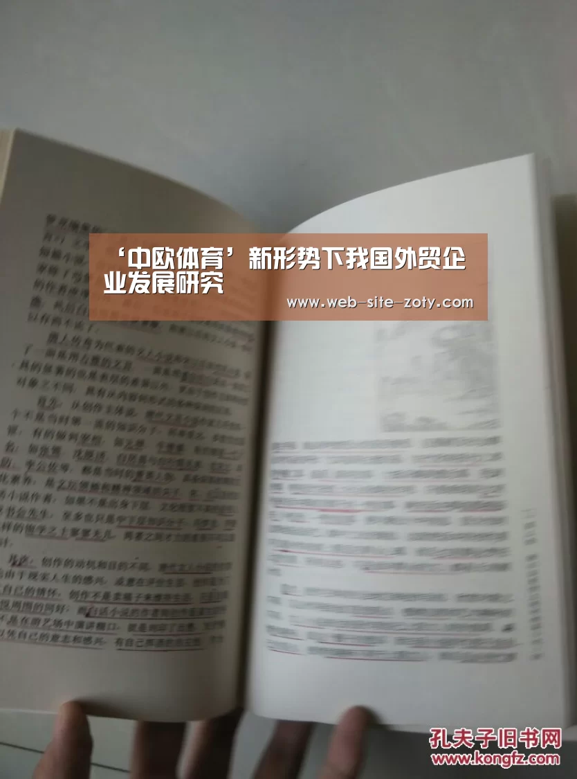 ‘中欧体育’新形势下我国外贸企业发展研究(图1) zoty体育