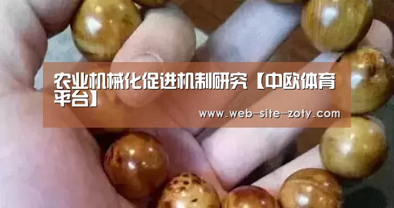 农业机械化促进机制研究【中欧体育平台】(图2) 中欧体育官网