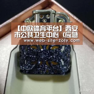 【中欧体育平台】西安市公共卫生中心(应急院区)交付!中建集团战疫“再下一城”(图2) 中欧体育